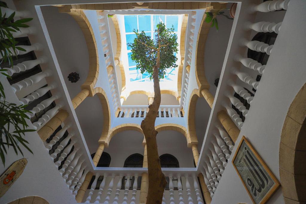 un albero che cresce in mezzo a una scalinata di Riad Salmiya Dune a Essaouira