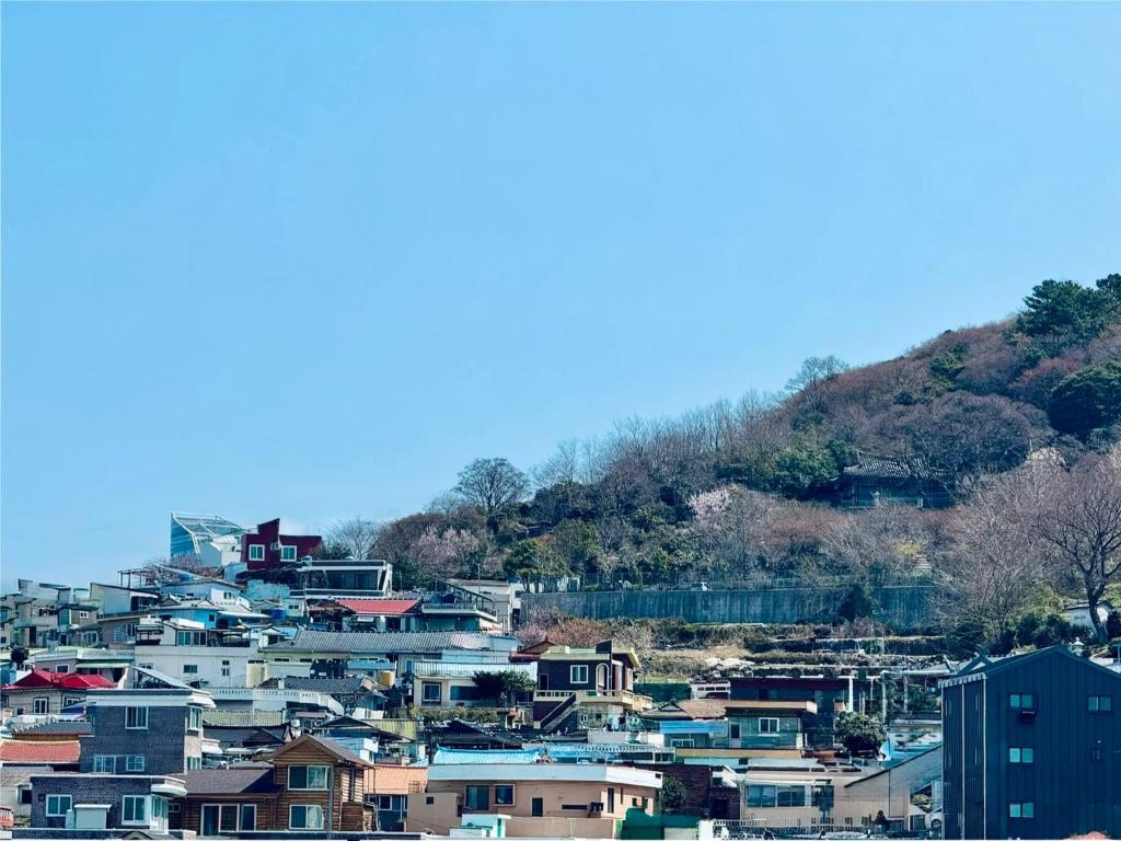 Naturlandskabet i nærheden af vandrehjemmet