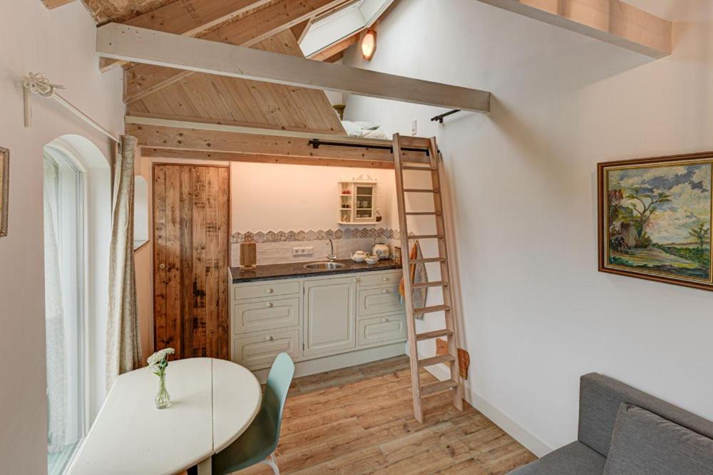 een kleine keuken met een ladder in een tiny house bij Berend 't Boerle in Vorden