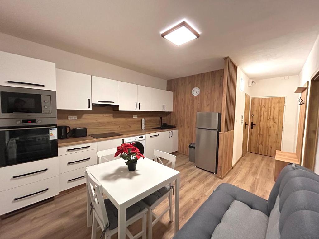 Køkken eller tekøkken på Apartmánový byt Nad řekou