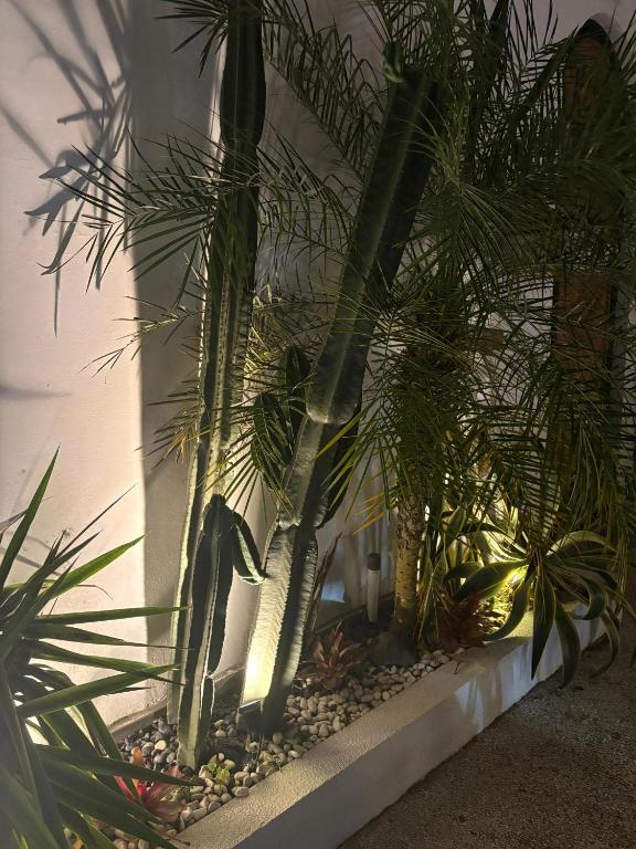 a group of palm trees in a room at Valentina House in Dalung