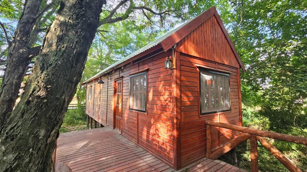 a small wooden cabin in the woods with a tree at Cabaña Natural Del Bosque in Victoria