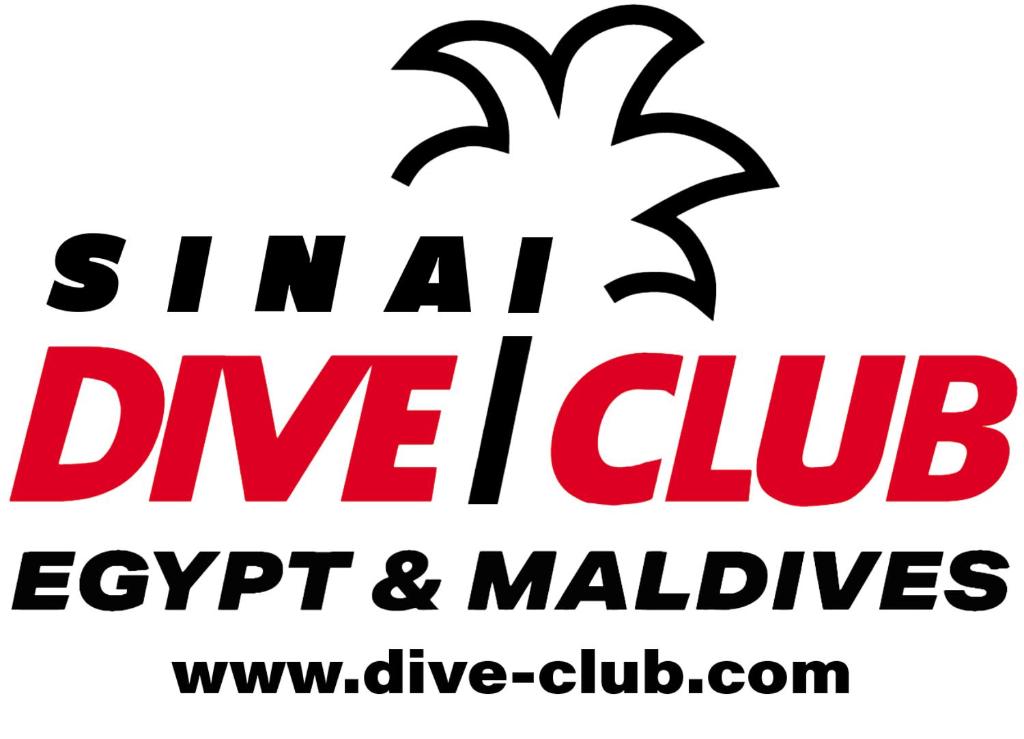 Certificat, récompense, panneau ou autre document affiché dans l'établissement Casa Simo