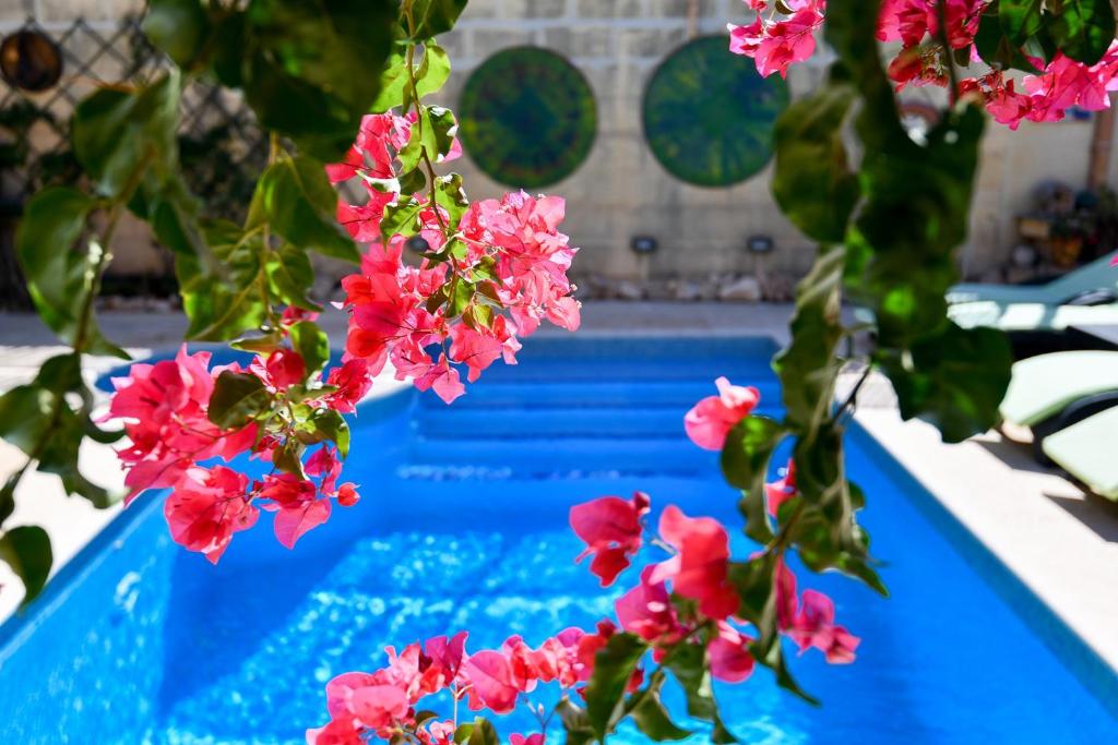 różowe kwiaty przed basenem w obiekcie Dar ta'Zeppi Mansion w mieście Qala