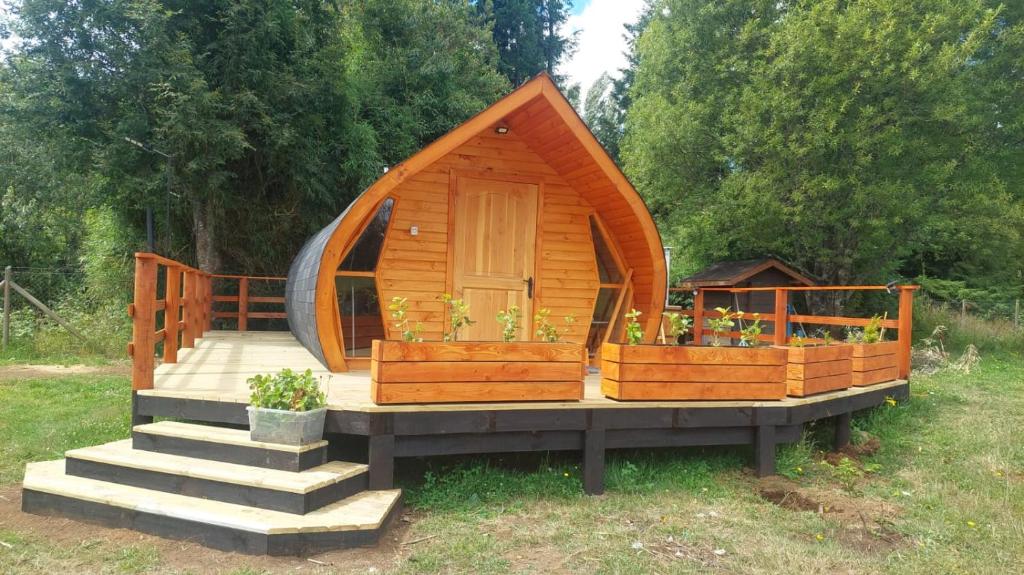 a small wooden cabin with a porch and some plants at Tiny House in Trape
