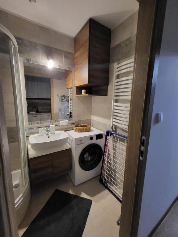 een kleine badkamer met een wasmachine en een wastafel bij Apartament Nowomiejski in Nowe Miasto Lubawskie