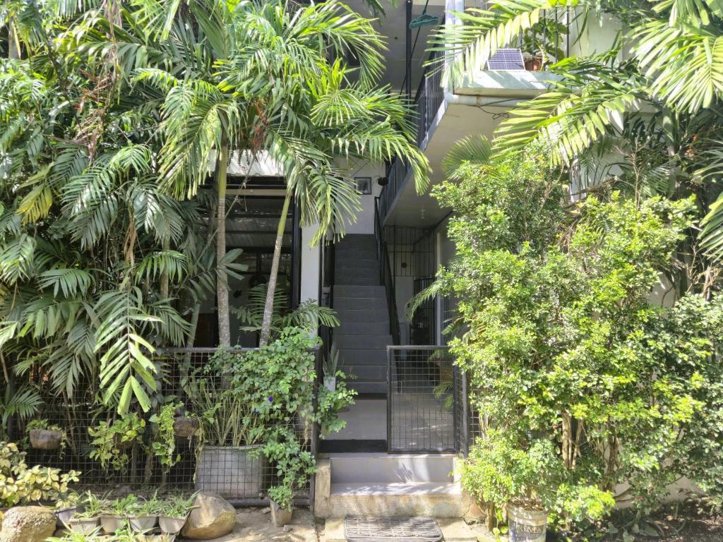 Green Turtle Backpackers Guesthouse, Puerto Princesa في مدينة بورتوبرنسس: منزل أمامه أشجار نخيل