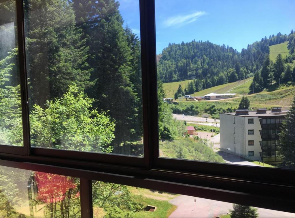 vista dalla finestra di un edificio di Le Chitelet vue sur pistes a Xonrupt-Longemer