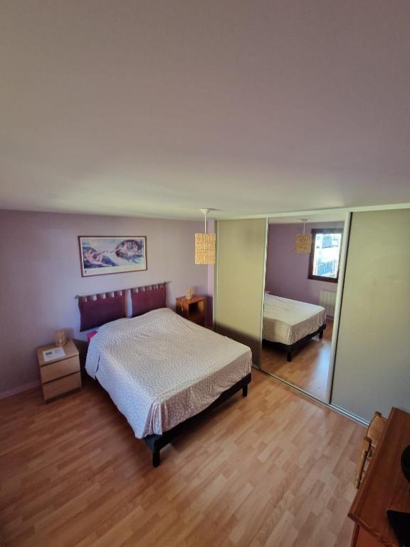 a bedroom with a bed and a mirror at Chambre Privée avec Jardin in Clermont-Ferrand