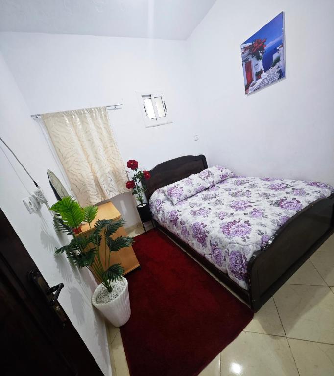 a bedroom with a bed and a table with plants at CASA Marwane in Chefchaouen