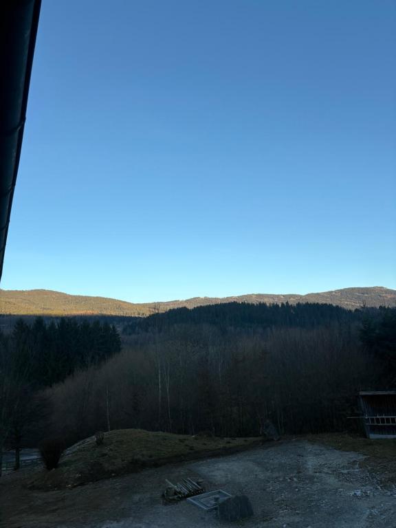 Blick auf ein Feld mit Bäumen in der Ferne in der Unterkunft Panorama Apartments in Lohberg