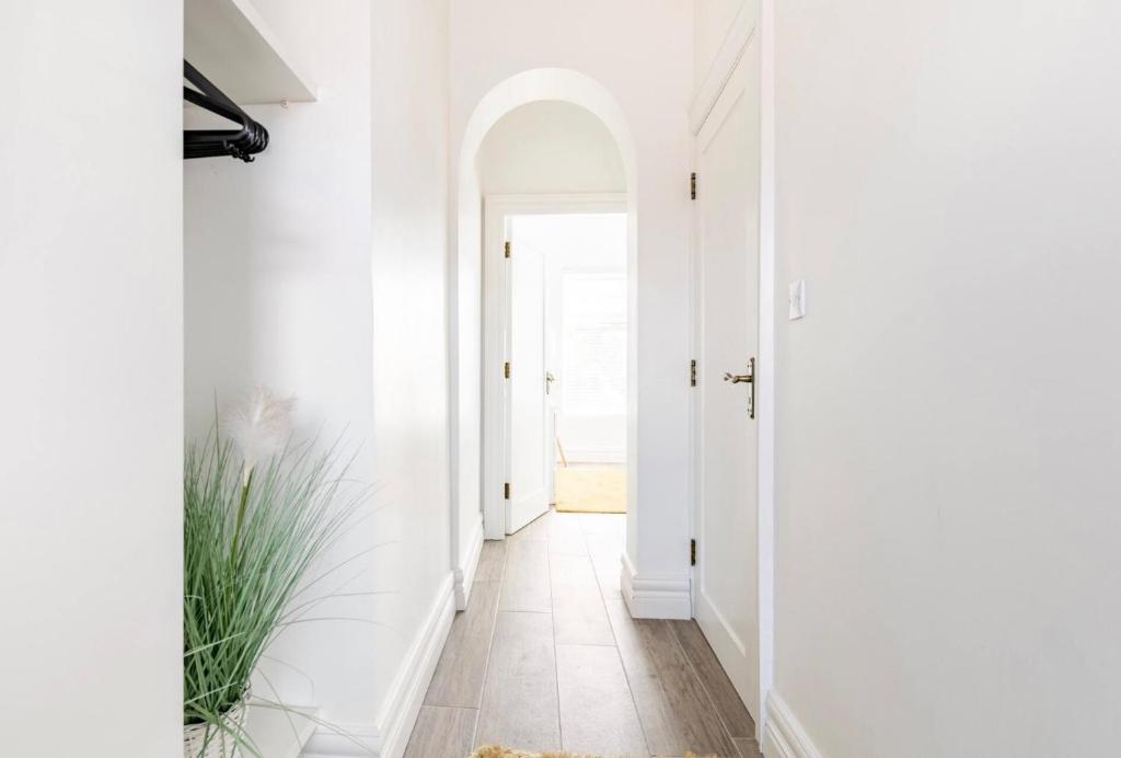a hallway with white walls and a door with a plant at Liberties Pre63 Studios in Dublin