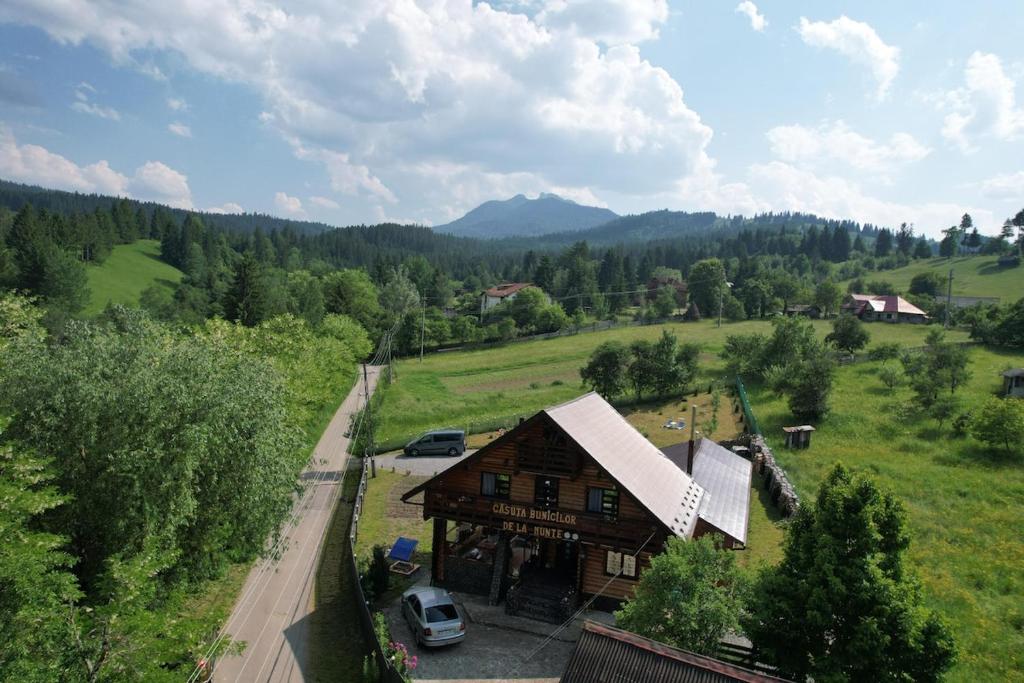 una vista aerea di una casa in un campo di Căsuța Bunicilor de la Munte a Ceahlău