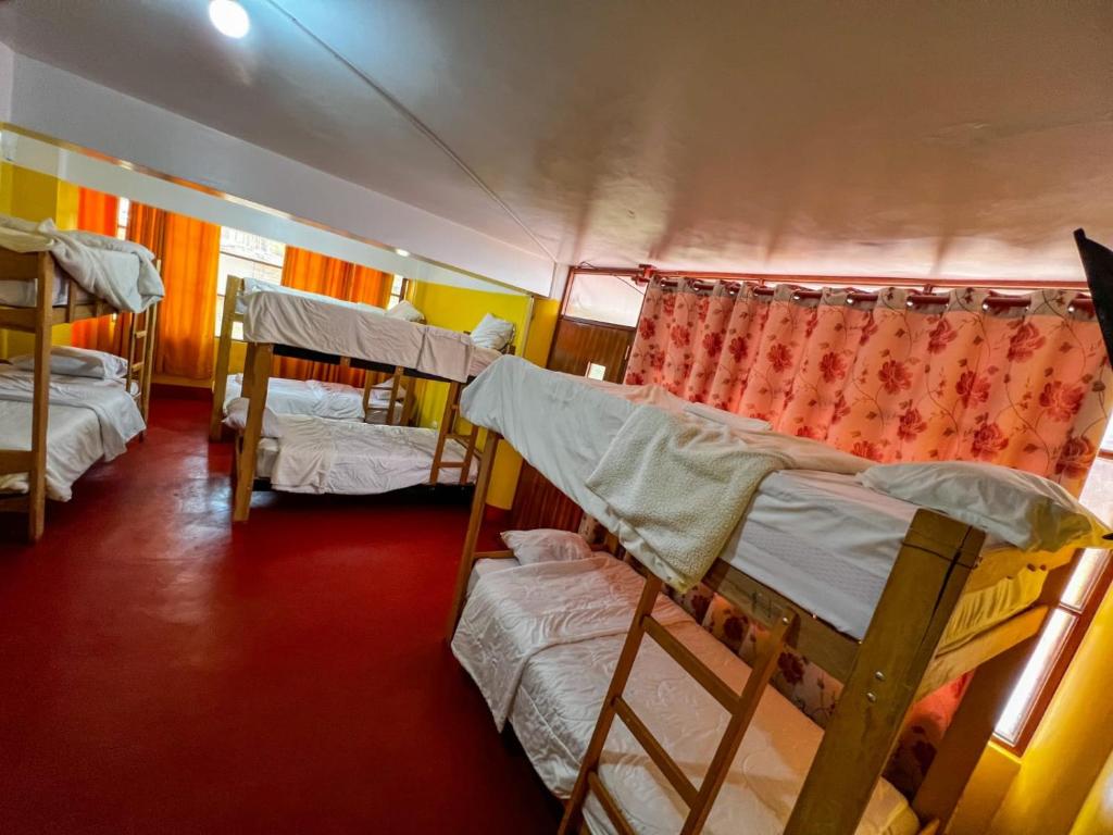 eine Gruppe von Etagenbetten in einem Zimmer in der Unterkunft krusty Backpackers Hostel B&B in Huaraz