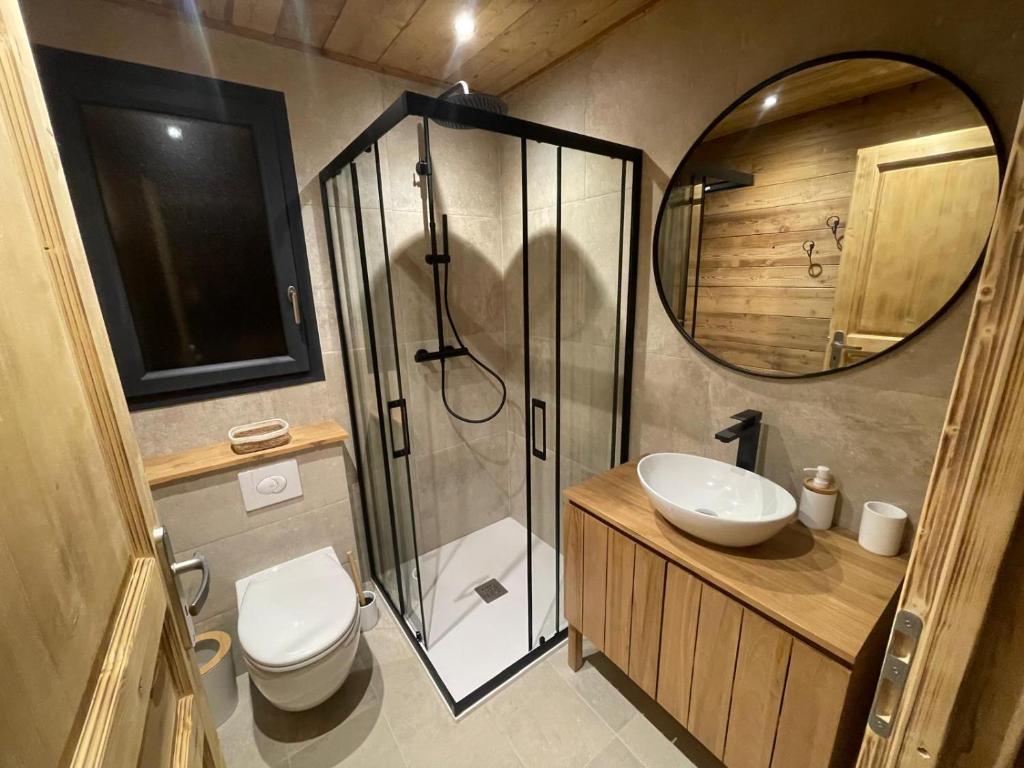 un bagno con doccia, WC e lavandino di Les 2 Chalets Alpins a Saint-Michel-de-Chaillol