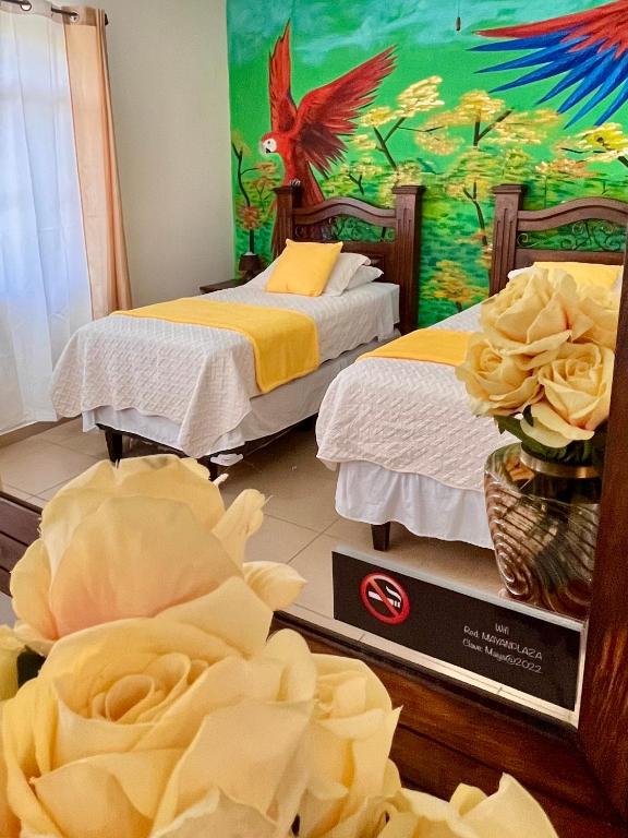 Habitación Cuádruple B&B Hermosa y Acogedora