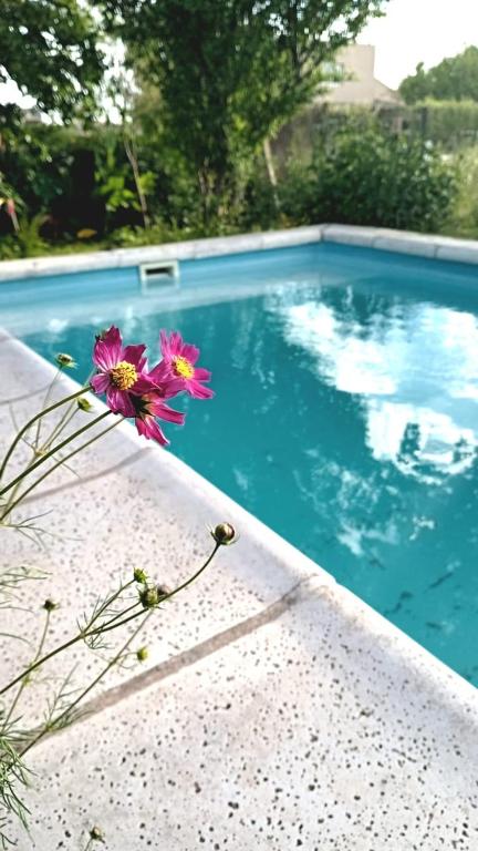 Departamento Valle de Luz