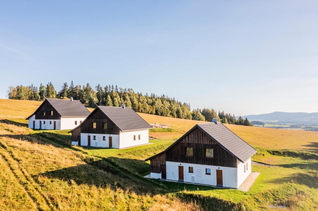 a group of houses on a hill in a field at Apartmány U Hešů in Horní Lipka