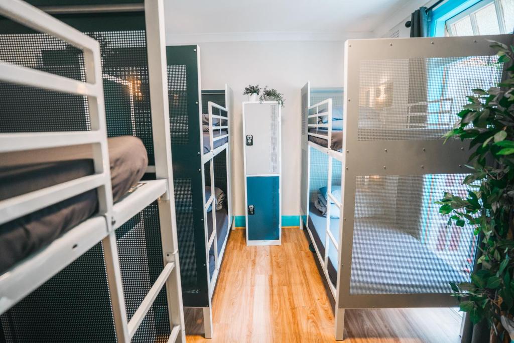 Mad Monkey Potts Point photo