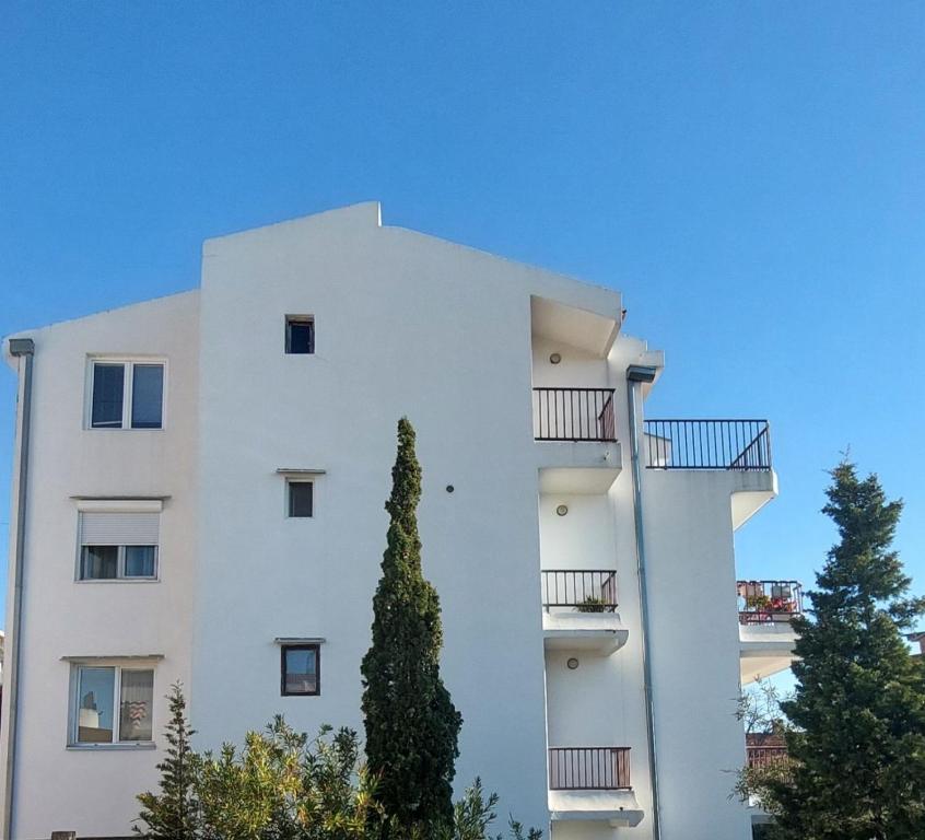 een wit gebouw met een boom ervoor bij Apartment Maruni in Šušanj