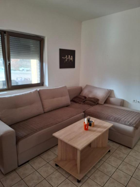 a living room with a brown couch and a coffee table at Nature Nest Više Selo in Blace