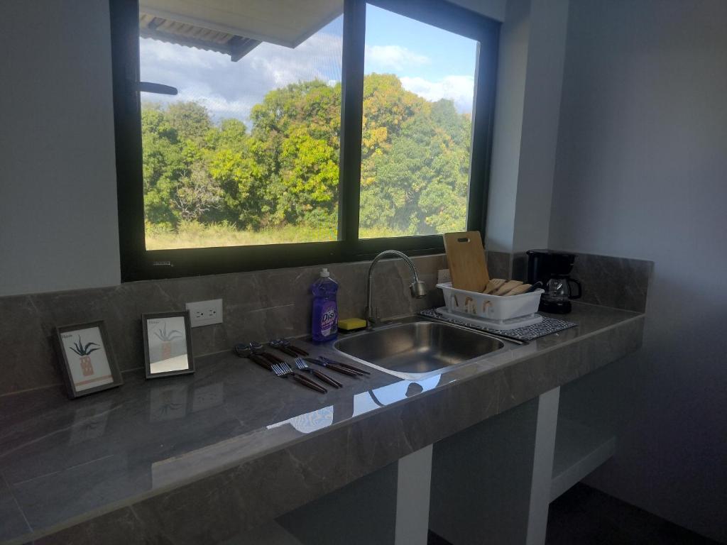 a kitchen counter with a sink and a window at Calma Place in Carrillo