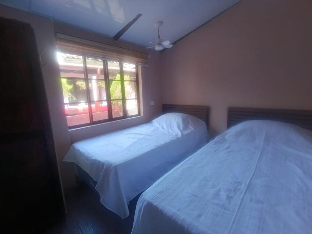 Casa Vieja Guest House - Lit Simple Dans Dortoir Mixte