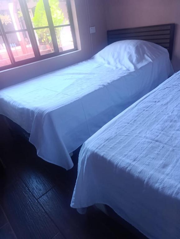 Casa Vieja Guest House photo