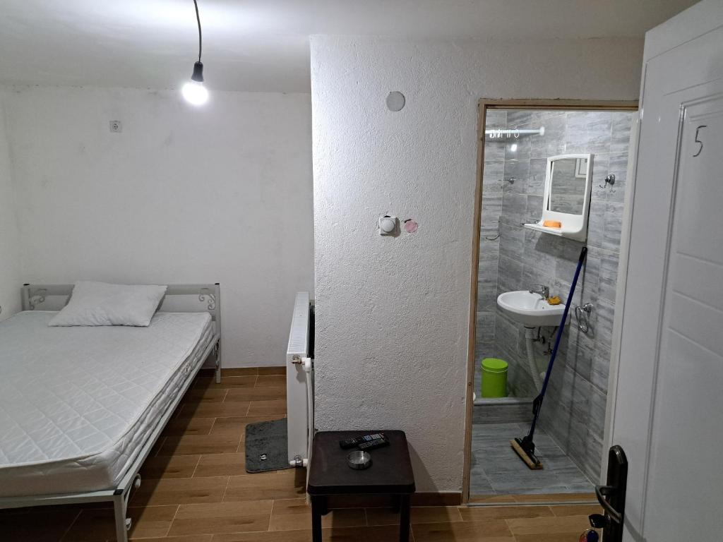 ein Schlafzimmer mit einem Bett, einem Waschbecken und einer Dusche in der Unterkunft Hostel Lalinac in Niš