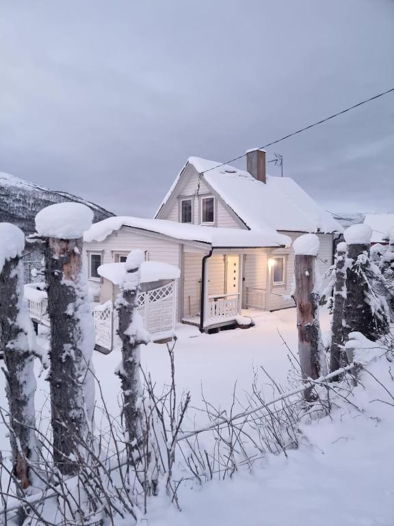a house is covered in snow with trees at Cozy Cottage in Balsfjord