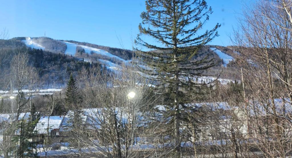 Cảnh núi rừng hoặc tầm nhìn ra núi từ nhà nghỉ dưỡng