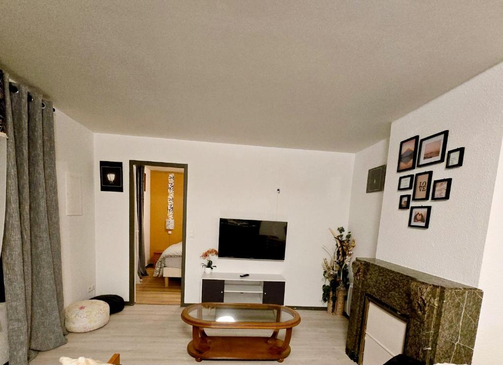 ein Wohnzimmer mit einem TV und einem Kamin in der Unterkunft Apparemment Mawen in Tarbes