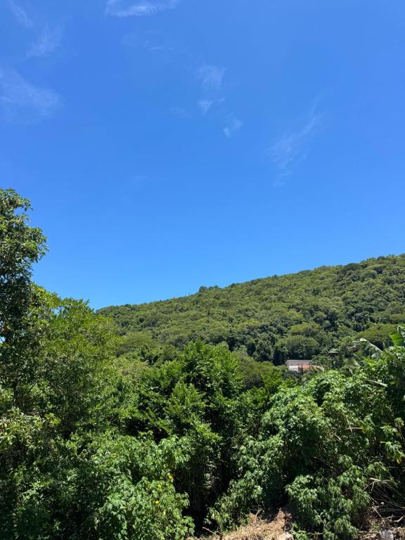a view of a hill with trees and a blue sky at Tiny House Campeche - Vista do Lampião in Florianópolis