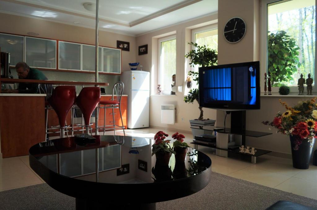 salon ze szklanym stołem i telewizorem w obiekcie Apartament Maria w mieście Międzyzdroje