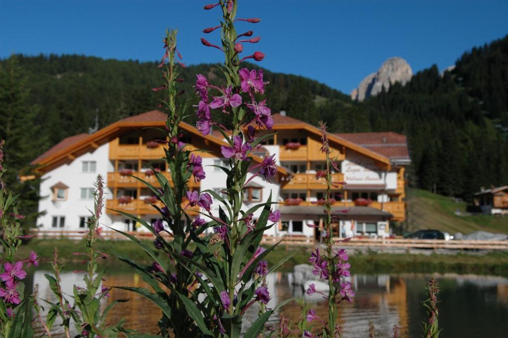 Příroda nedaleko hotelu