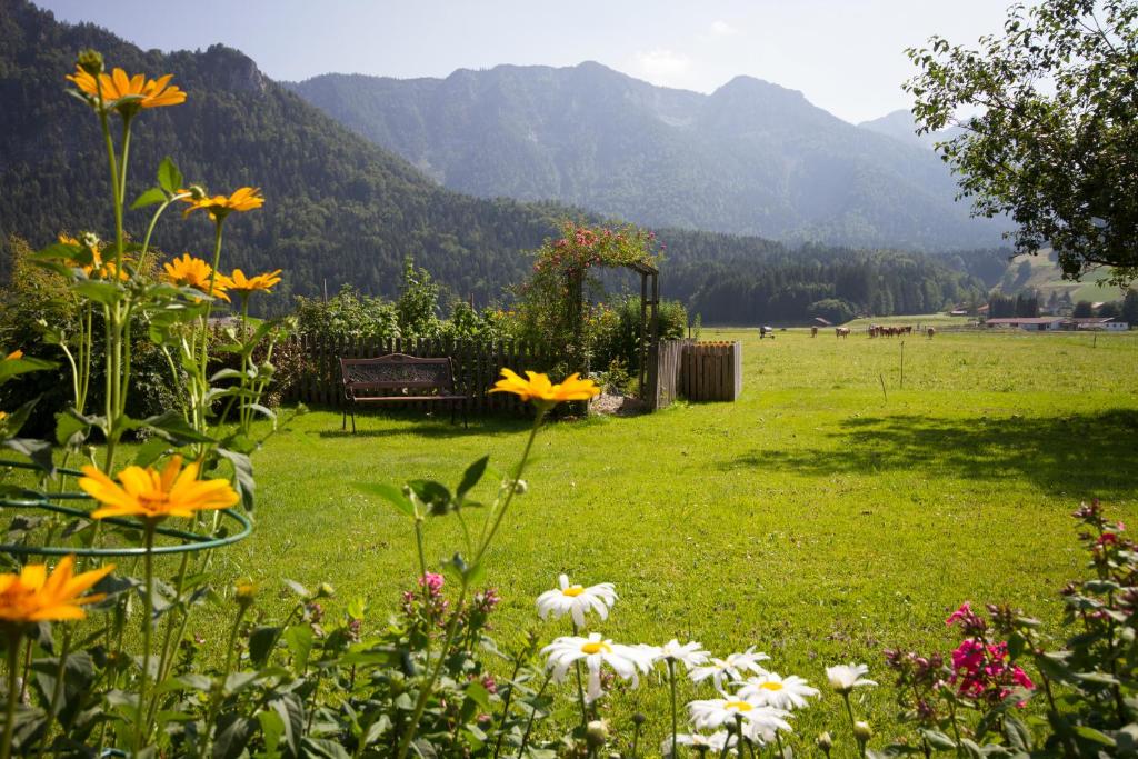 Ferienwohnungen Haus Martin