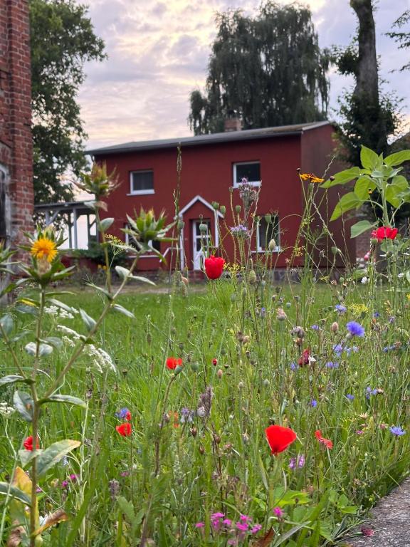 a garden with flowers in front of a red building at Pure nature - Dein Landhaus in Wardow