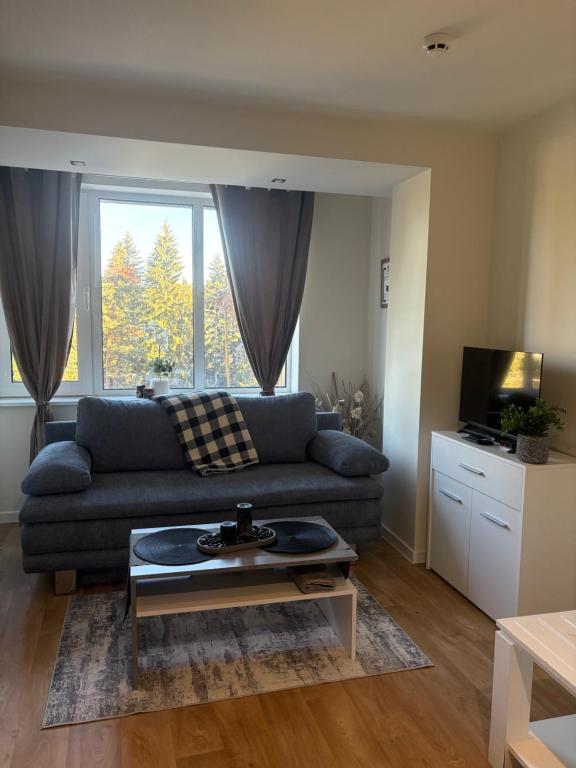 Et opholdsområde på Chamkoria Borovets luxury apartment view