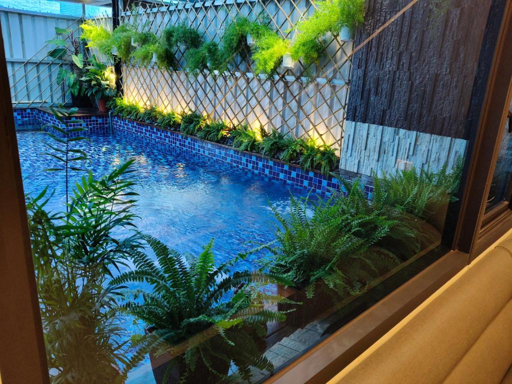 Blick aus einem Fenster auf einen Swimmingpool mit Pflanzen in der Unterkunft Fun B&B in Altstadt von Hengchun