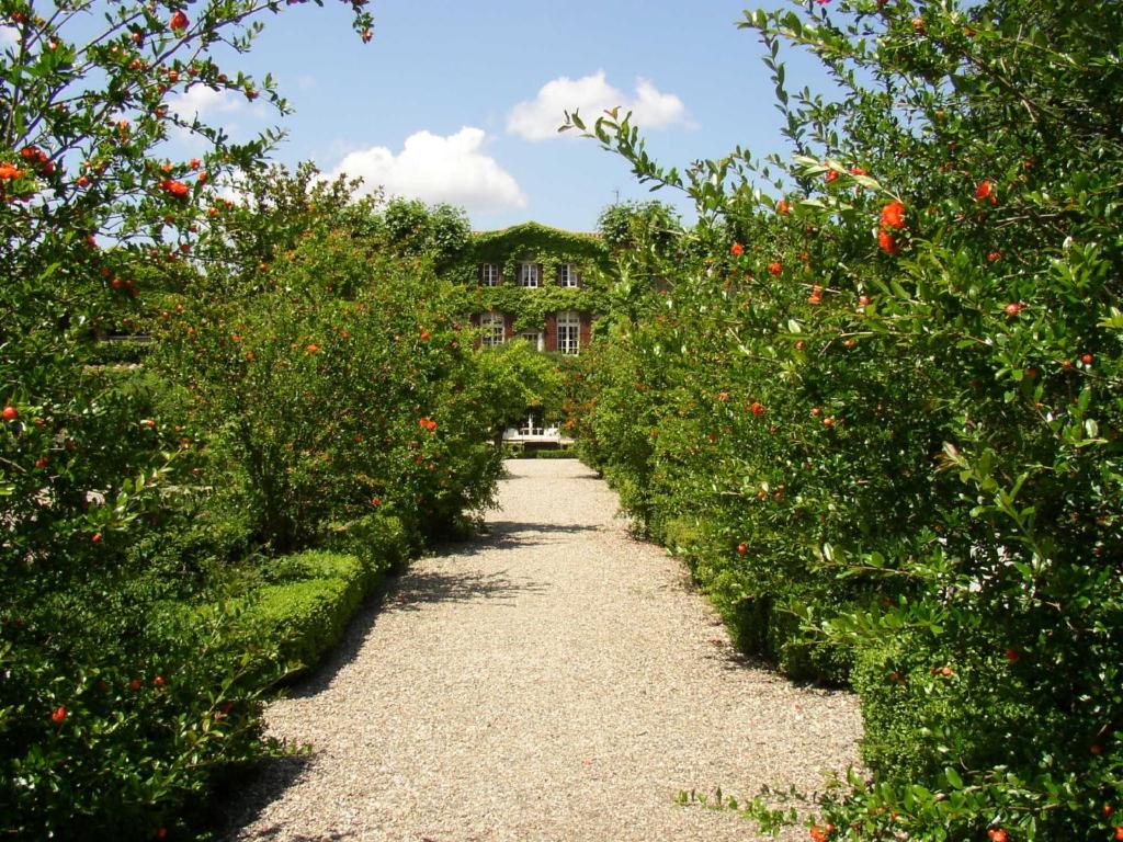 Château de Floure - SPA et piscine extérieure chauffée - 19