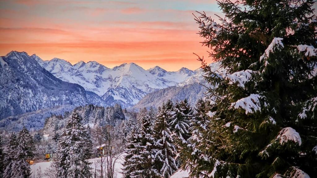 Naturlandskabet i nærheden af pensionatet