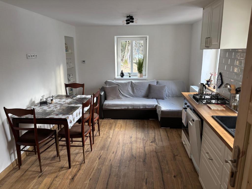 Nhà bếp/bếp nhỏ tại Apartment Polubny