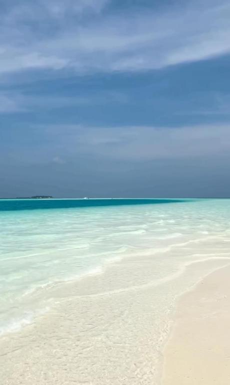 Palma De Maldives - View 15