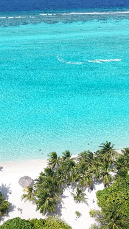 Palma De Maldives - View 36