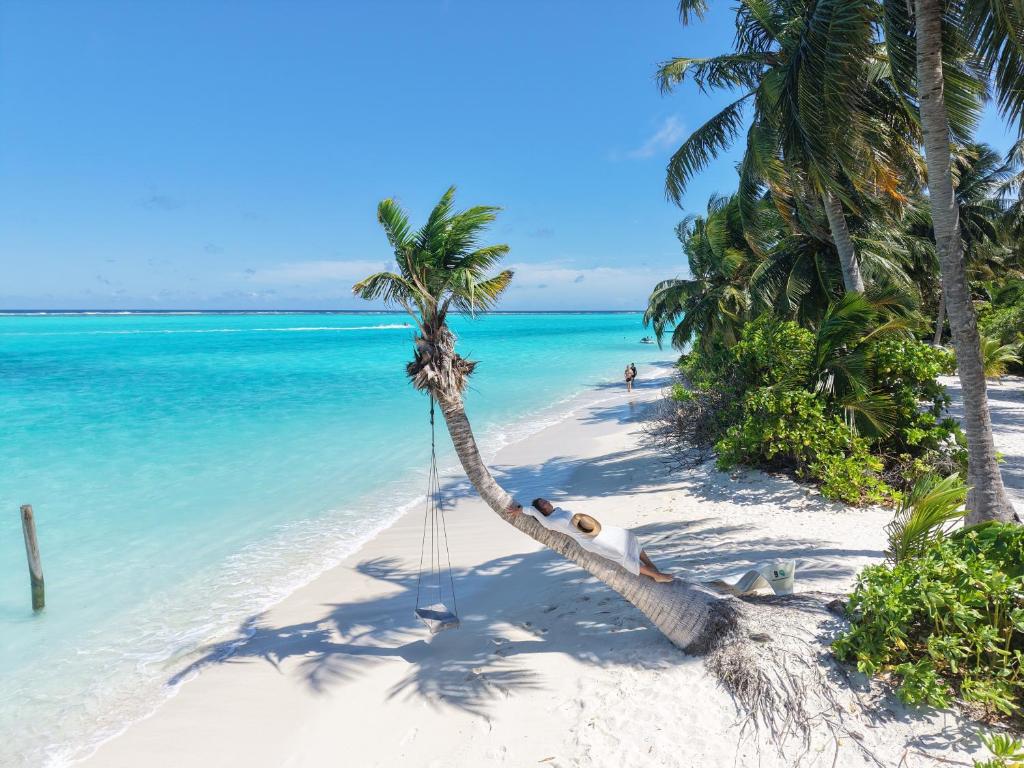 Palma De Maldives - View 38