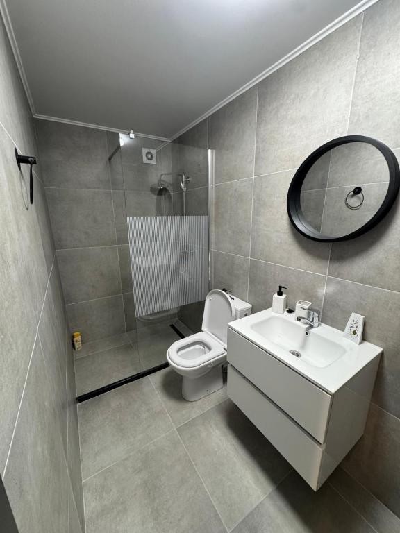 a bathroom with a toilet and a sink and a mirror at IUGAs RESIDENCE in Sighetu Marmaţiei