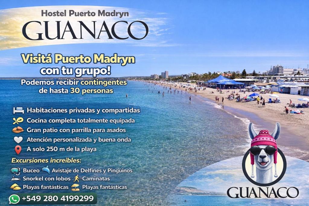 Een flyer voor een strand met mensen in het water. bij Guanaco Hostel in Puerto Madryn