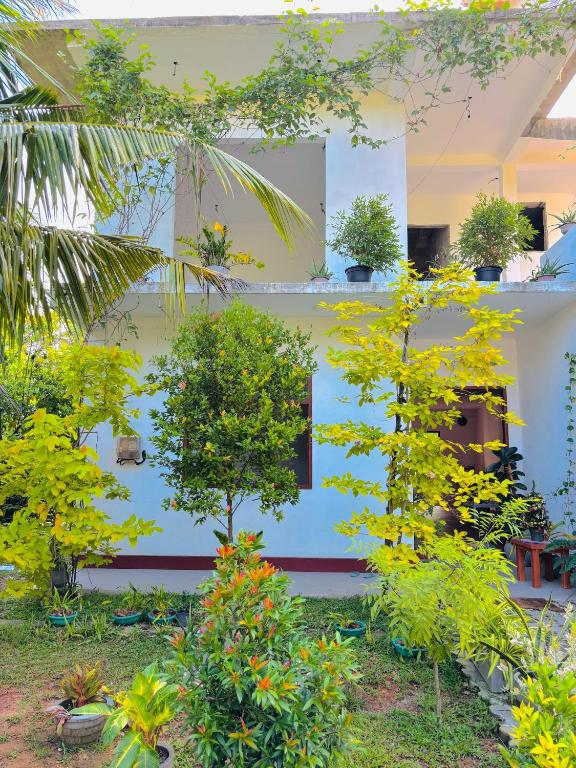 a building with trees and plants in a yard at Villa Ocean Whisper in Bentota