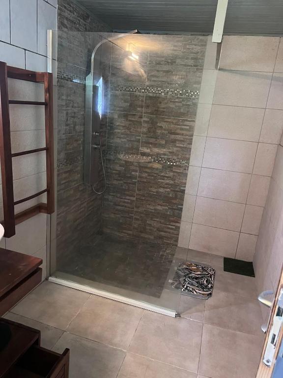 a shower with a glass door in a bathroom at Fleur de Canne in Saint-Benoît