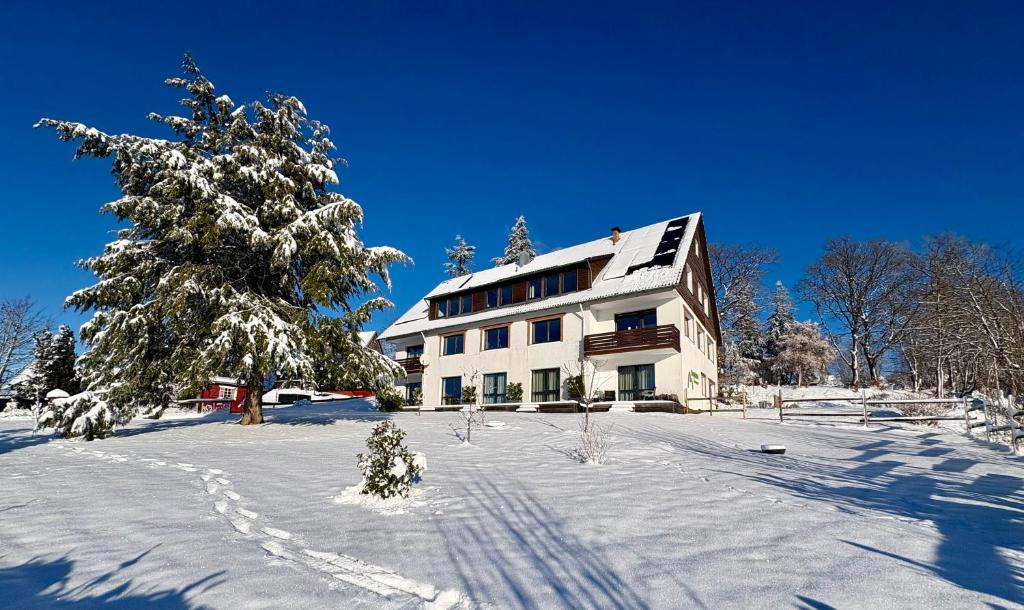 Berghotel Hohegeiß v zimě